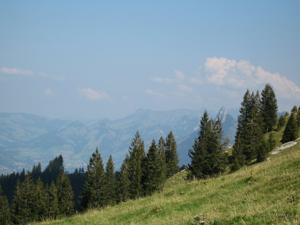 20050901_062